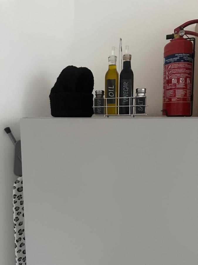 Klimatisiertes Dachgeschoss City Apartment In Zentrum Wiens Eksteriør billede