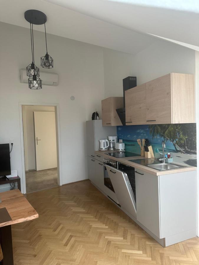 Klimatisiertes Dachgeschoss City Apartment In Zentrum Wiens Eksteriør billede