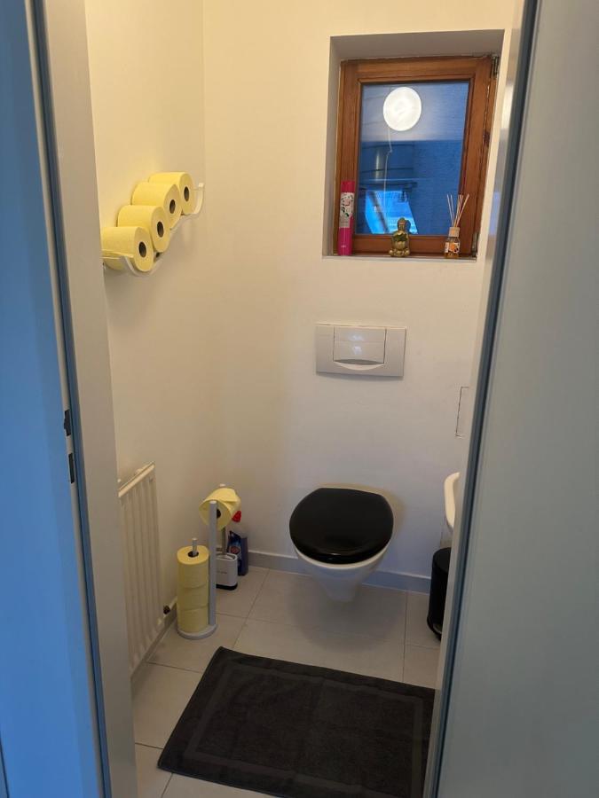 Klimatisiertes Dachgeschoss City Apartment In Zentrum Wiens Eksteriør billede