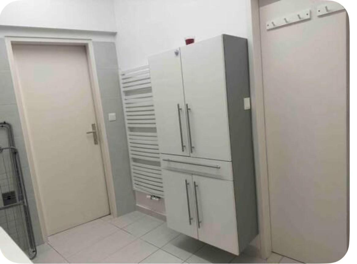 Klimatisiertes Dachgeschoss City Apartment In Zentrum Wiens Eksteriør billede